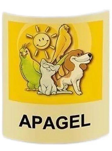 Apa-ct apagel flacone 100 ml  