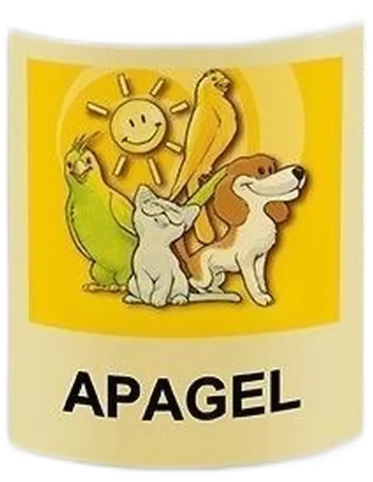 Apa-ct apagel flacone 100 ml  