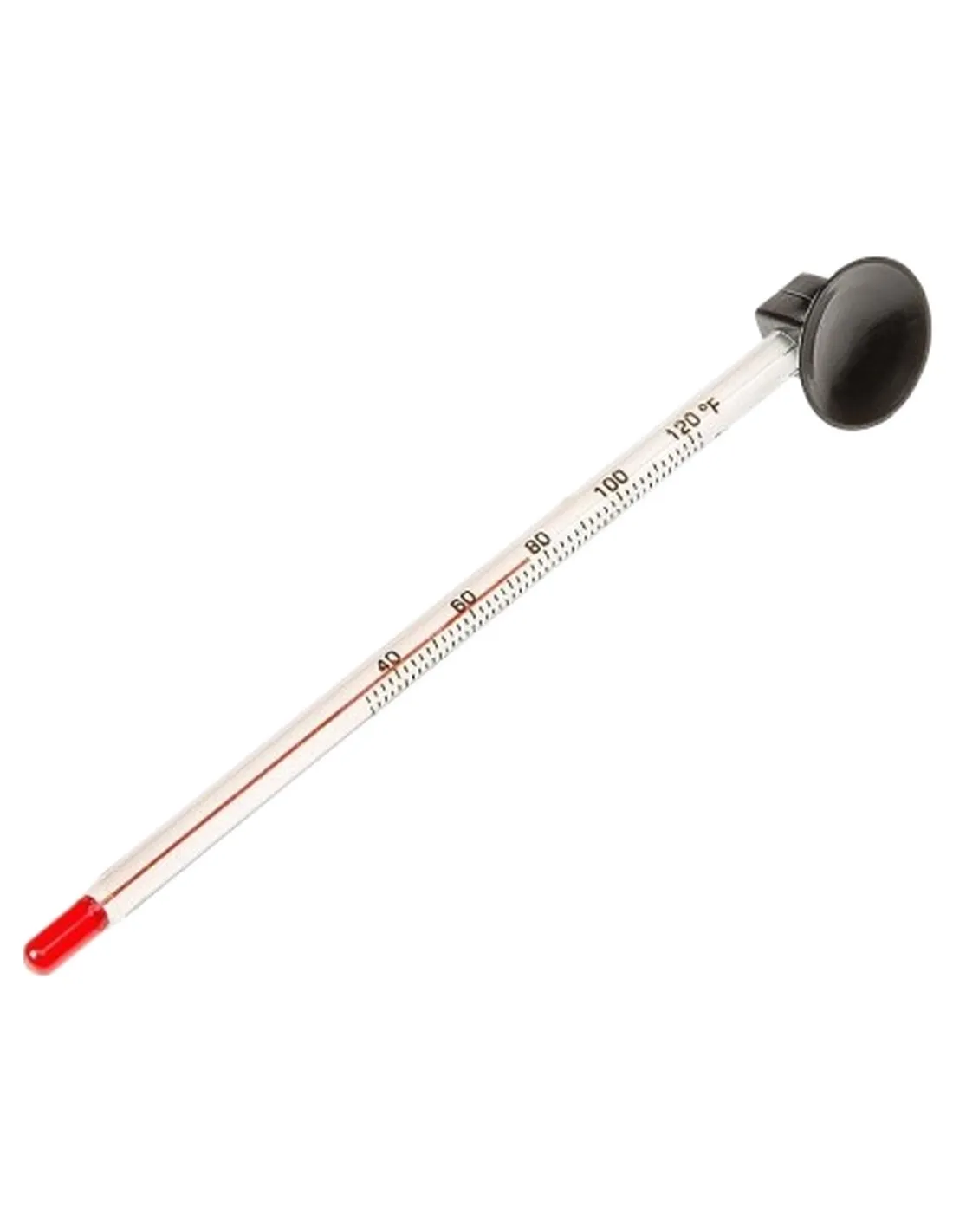 Ferplast blu 6811 termometro in vetro  