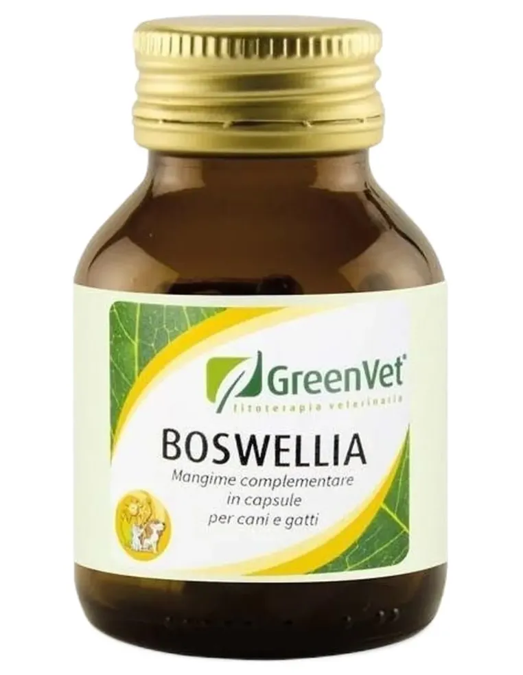 Apa-ct boswellia flacone 50 cps  