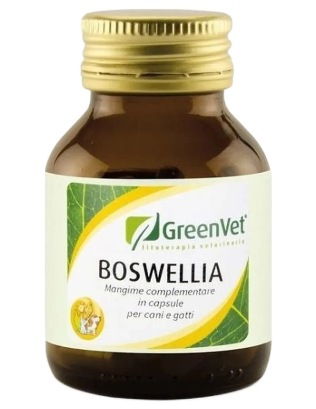 Apa-ct boswellia flacone 50 cps  
