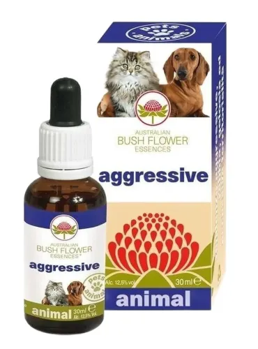 Bush flower aggressive 30 ml  
