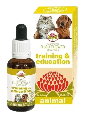 Bush flower training e education 30 ml