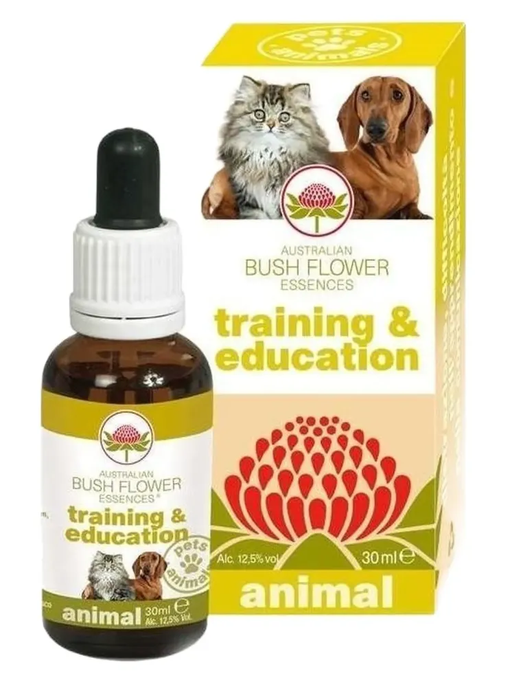 Bush flower training e education 30 ml  