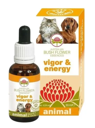 Bush flower vigor e energy 30 ml  
