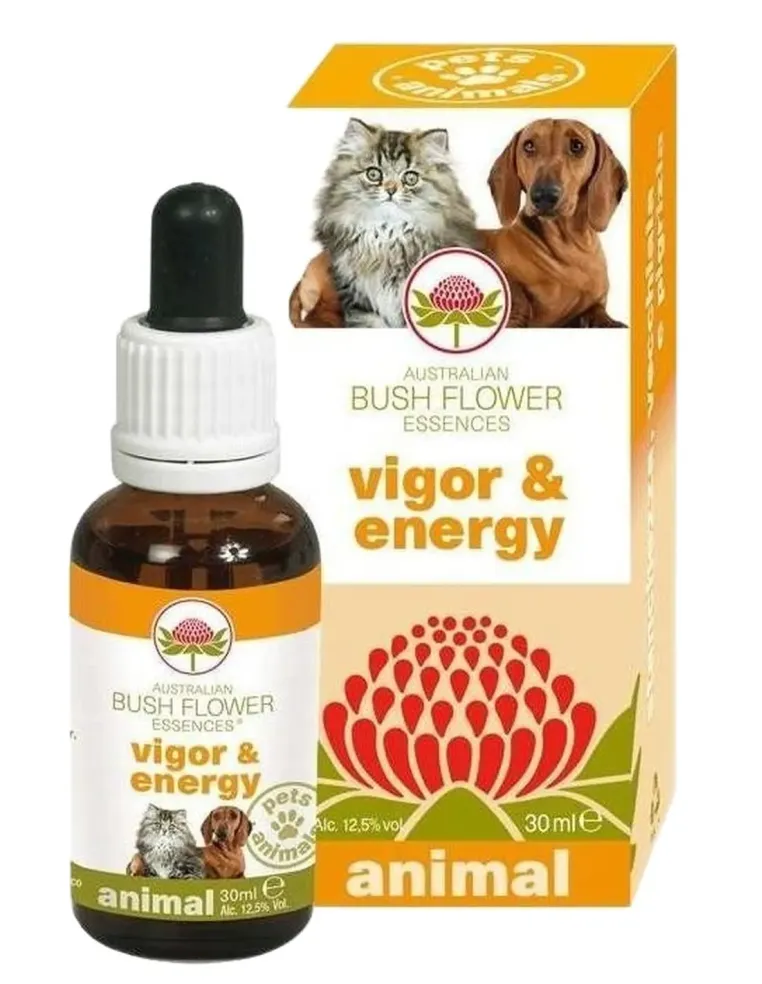 Bush flower vigor e energy 30 ml  