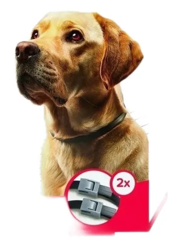 Beaphar canishield 2 collari 65 cm  