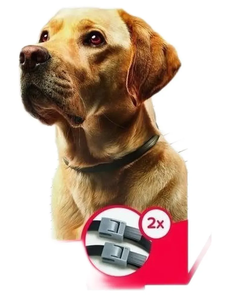 Beaphar canishield 2 collari 65 cm  