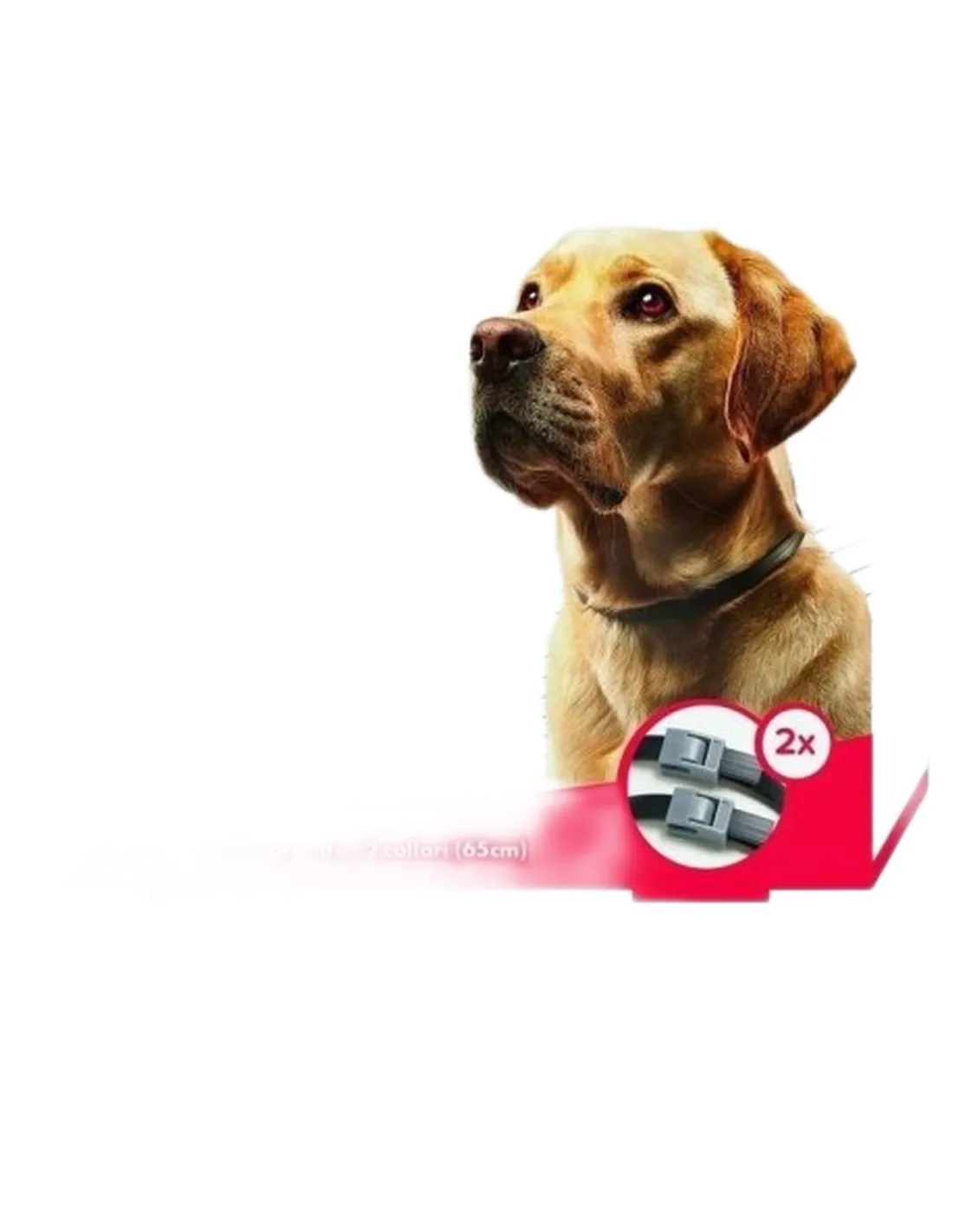 Beaphar canishield 2 collari 65 cm  