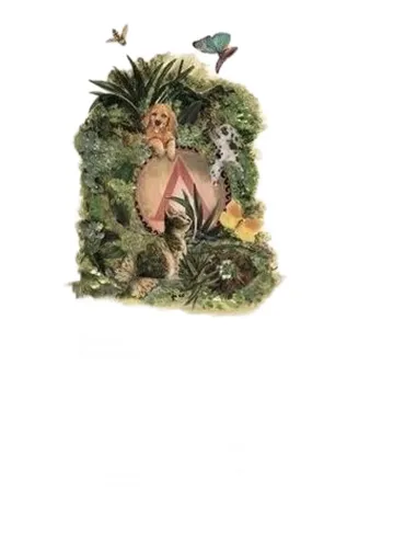 Rosa canina clipeo aureo 60 capsule  