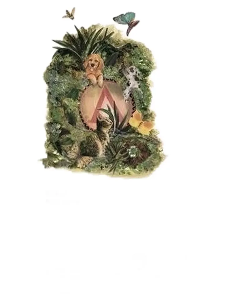 Rosa canina clipeo aureo 60 capsule  