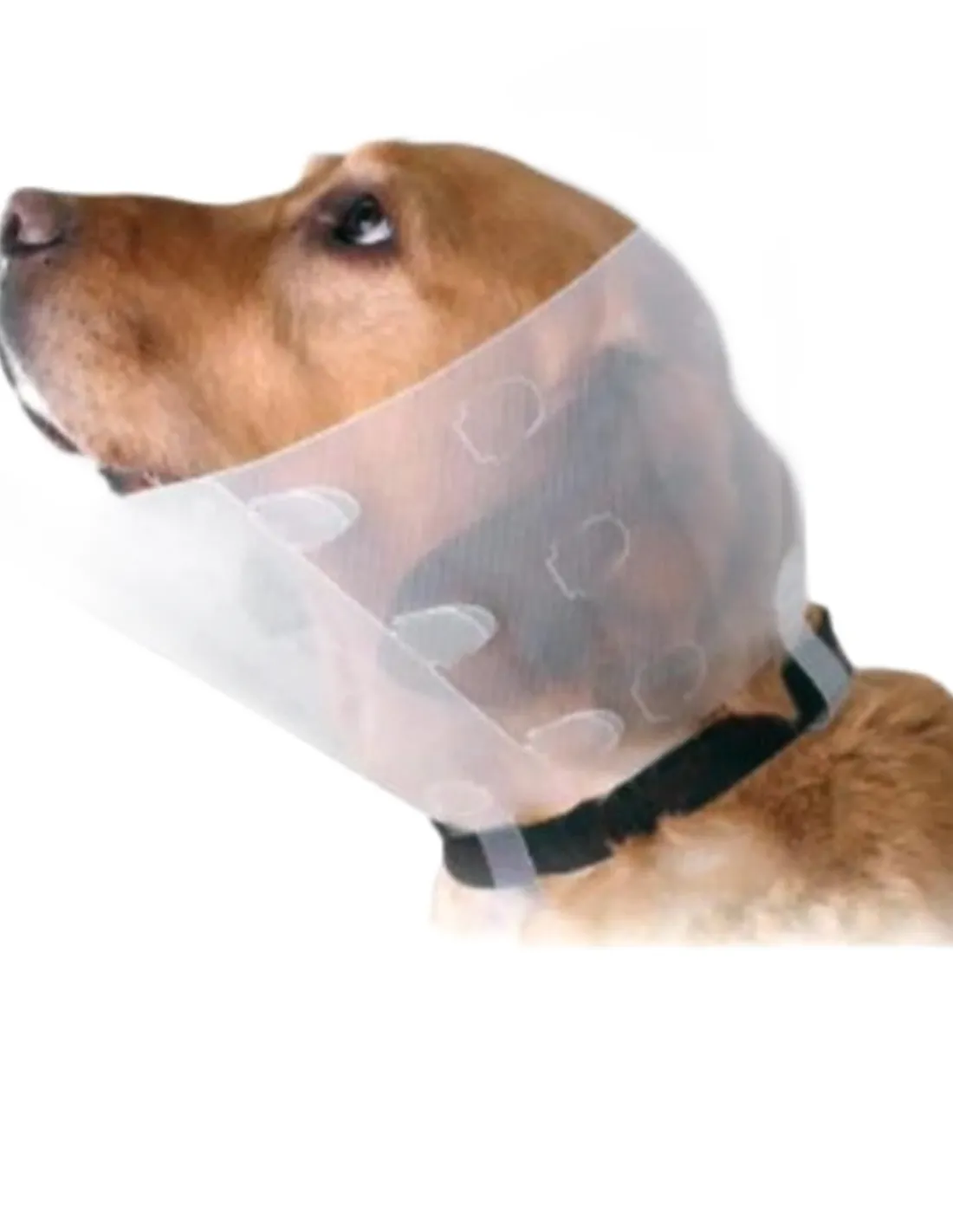 Proficollar collare elisabettiano 10 cm  