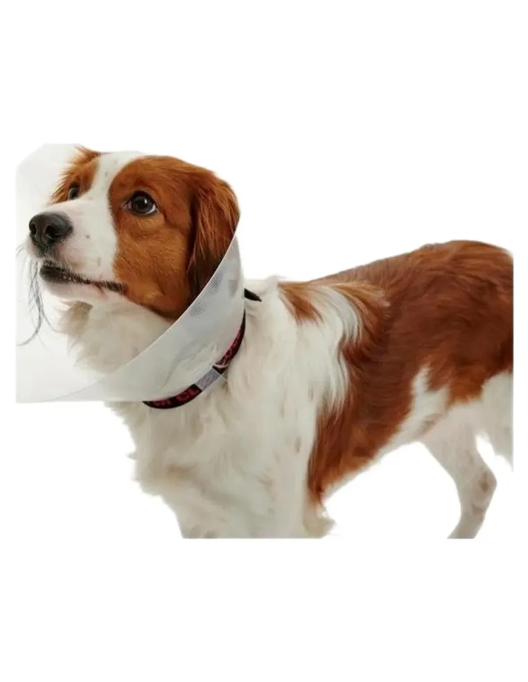 Proficollar collare elisabettiano 15 cm  