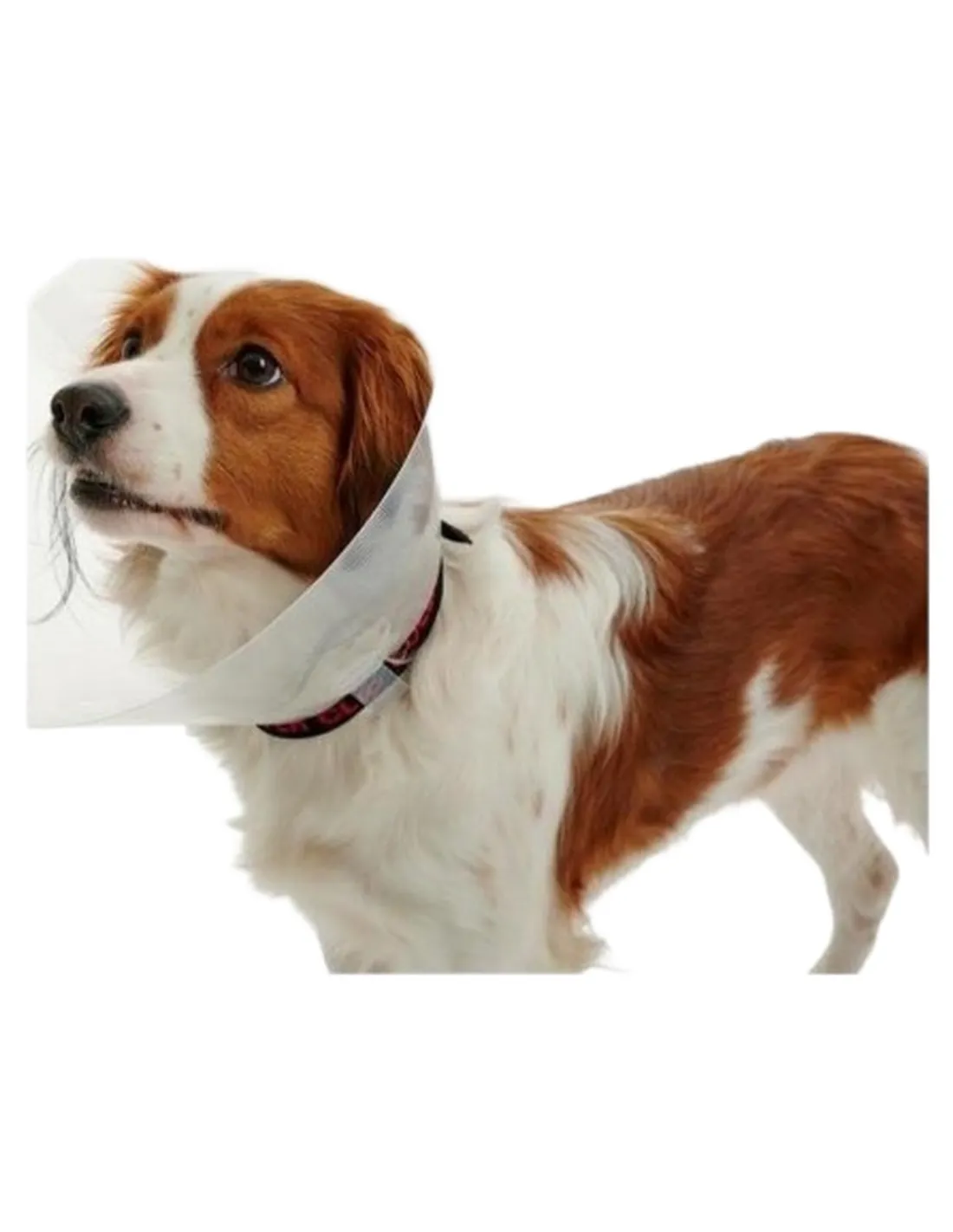 Proficollar collare elisabettiano 15 cm  