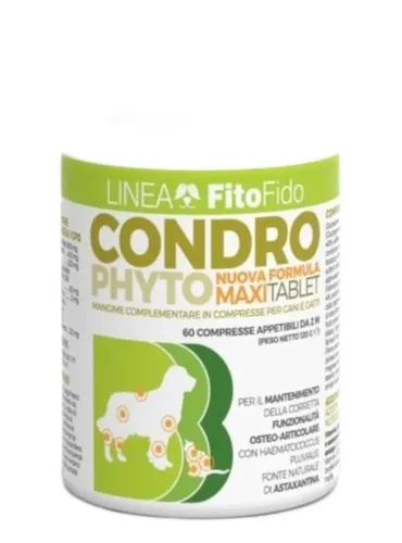 Trebifarma condro phyto 60 compresse 1 gr  