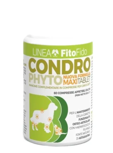 Trebifarma condro phyto maxi 60 comprese 2 gr  