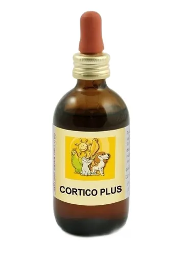 Apa-ct cortico plus 50 ml