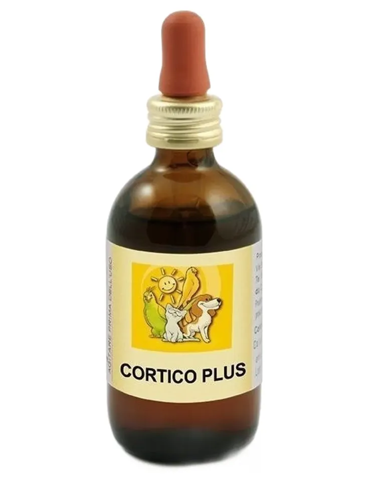 Apa-ct cortico plus 50 ml  