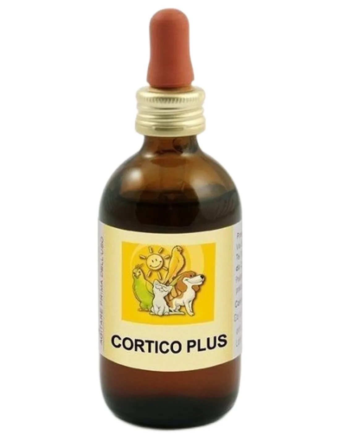 Apa-ct cortico plus 50 ml  