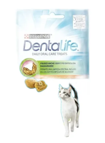 Purina dentalife gatto salmone 40 gr  