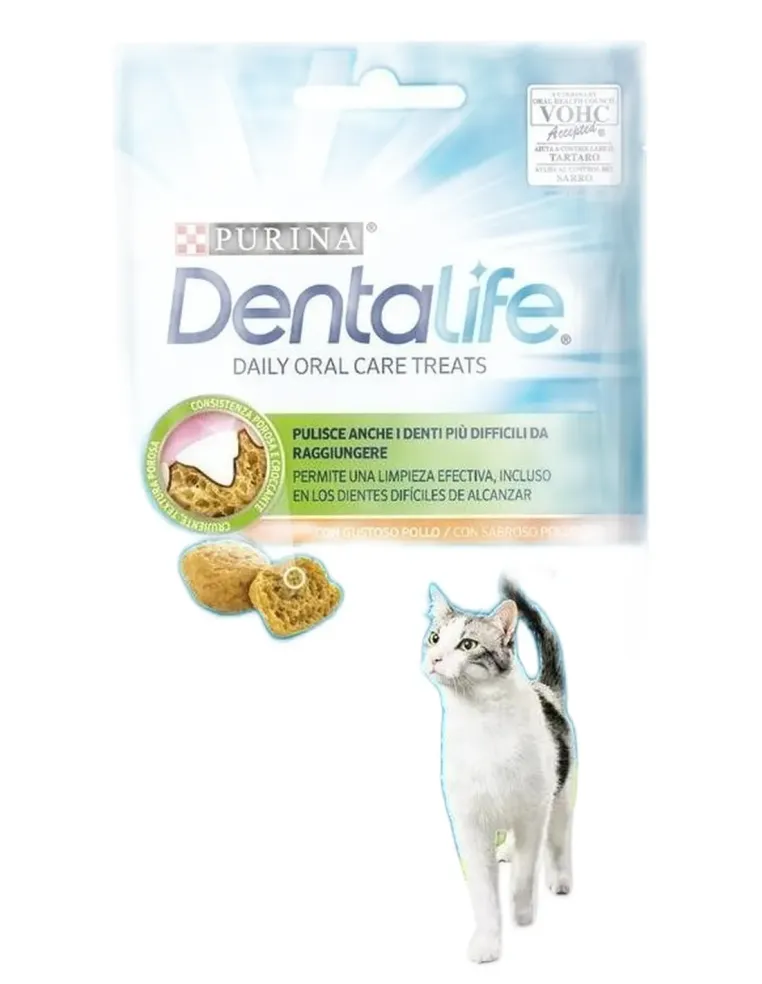 Purina dentalife gatto salmone 40 gr  