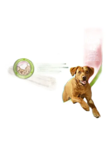 Purina dentalife large 12 sticks 426 gr  