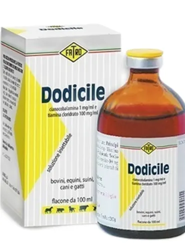 Dodicile fl 100 ml  
