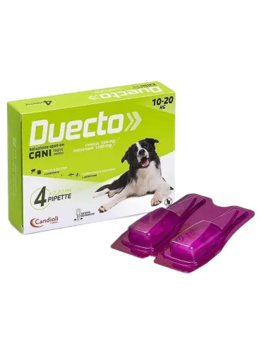Candioli duecto spot on 4 pipette 10 - 20 kg  