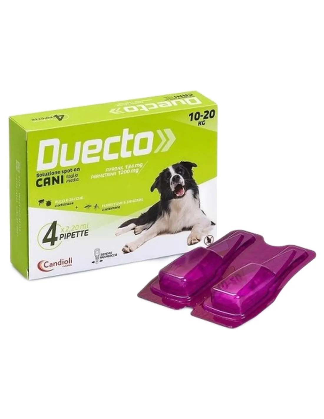 Candioli duecto spot on 4 pipette 10 - 20 kg  