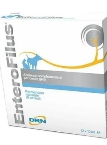 Drn enterofilus 12 fiale 10 ml