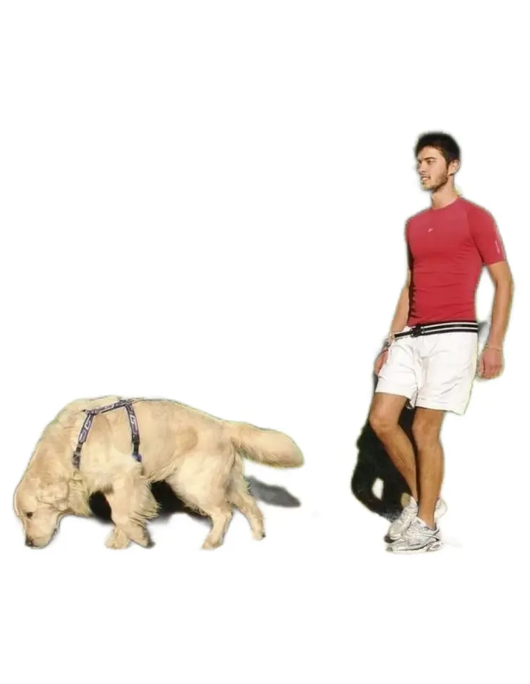 Ferplast guinzaglio ergocomfort free time  