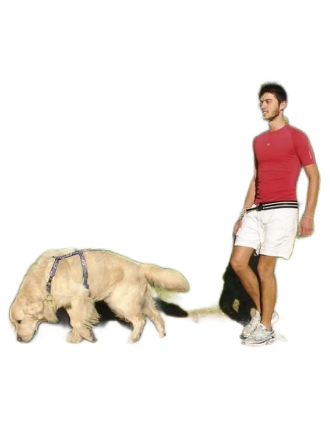 Ferplast guinzaglio ergocomfort free time   Ferplast guinzaglio ergocomfort free time