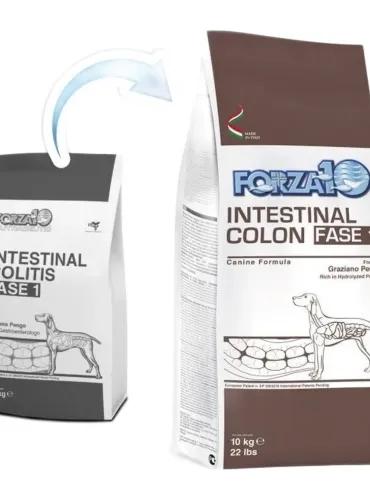 Forza 10 cane intestinal colon Fase-1 10 kg