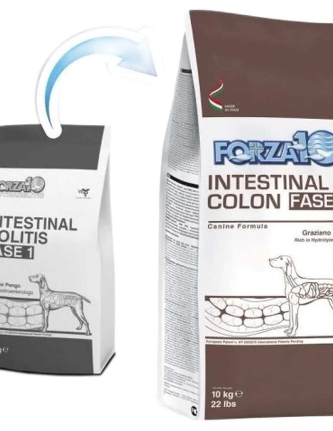 Forza 10 cane intestinal colon Fase-1 10 kg  