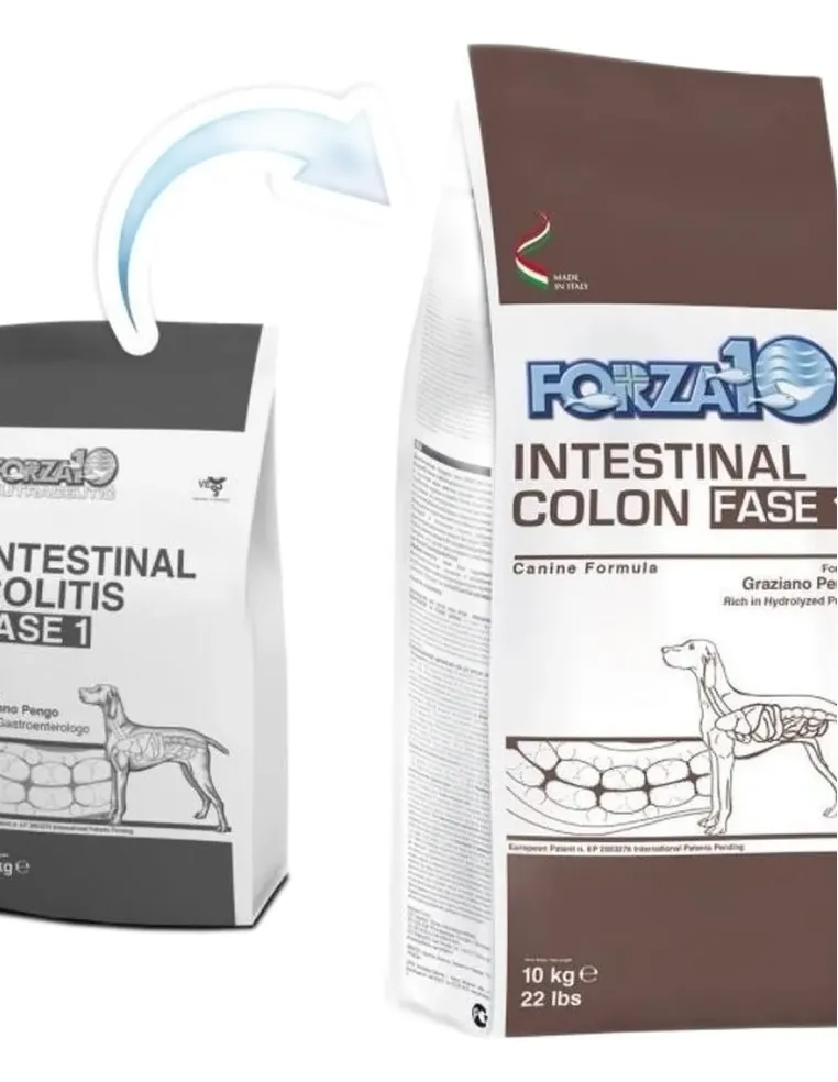 Forza 10 cane intestinal colon Fase-1 4 kg  