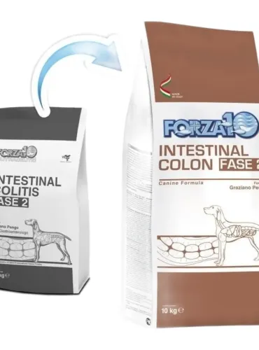 Forza 10 cane intestinal colon Fase-2 10 kg