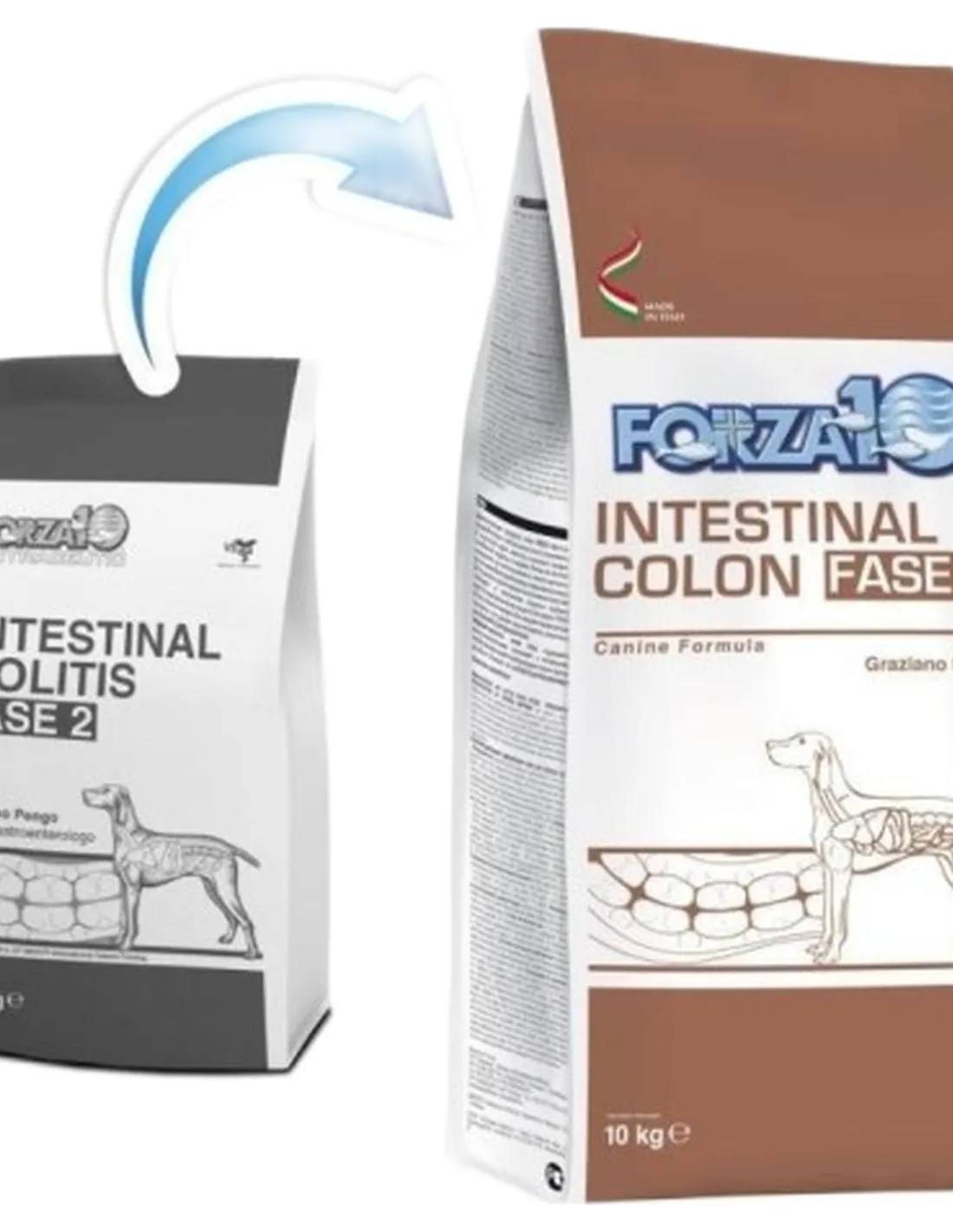 Forza 10 cane intestinal colon Fase-2 4 kg  