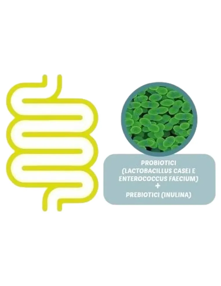 Fermentiflora 30 compresse 1 gr  