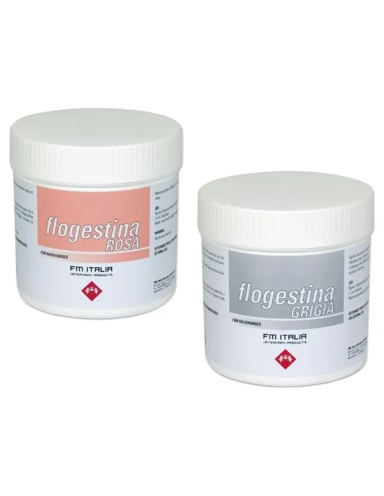 Fm italia flogestina grigia 4 kg  
