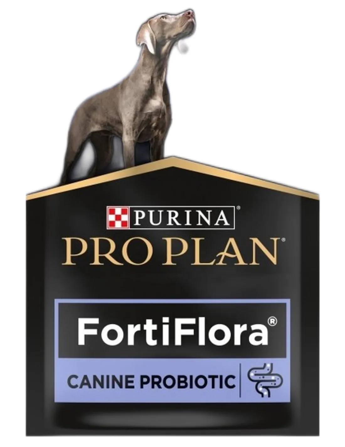 Purina Pro Plan Fortiflora Canine 30 gr   Purina Pro Plan Fortiflora Canine 30 gr