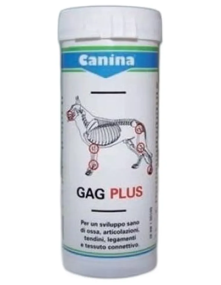 Drn gag plus 60 tavolette 100 gr  