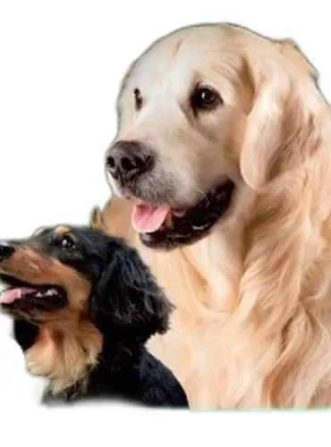 Hemdiol flex 30 capsule da 500 mg  