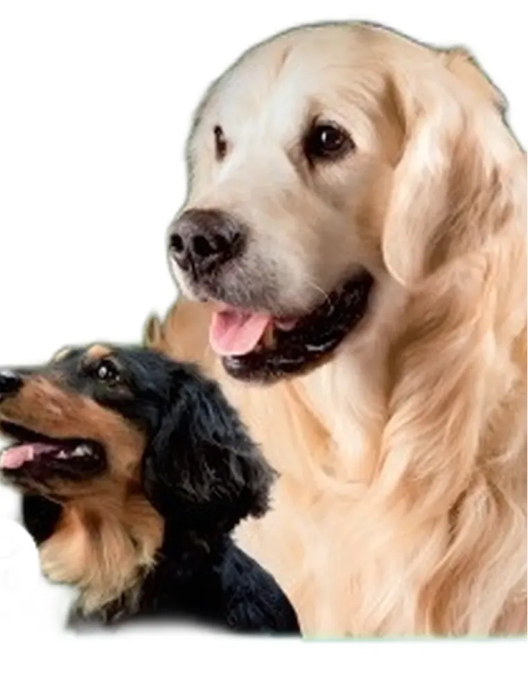 Hemdiol flex 30 capsule da 500 mg  