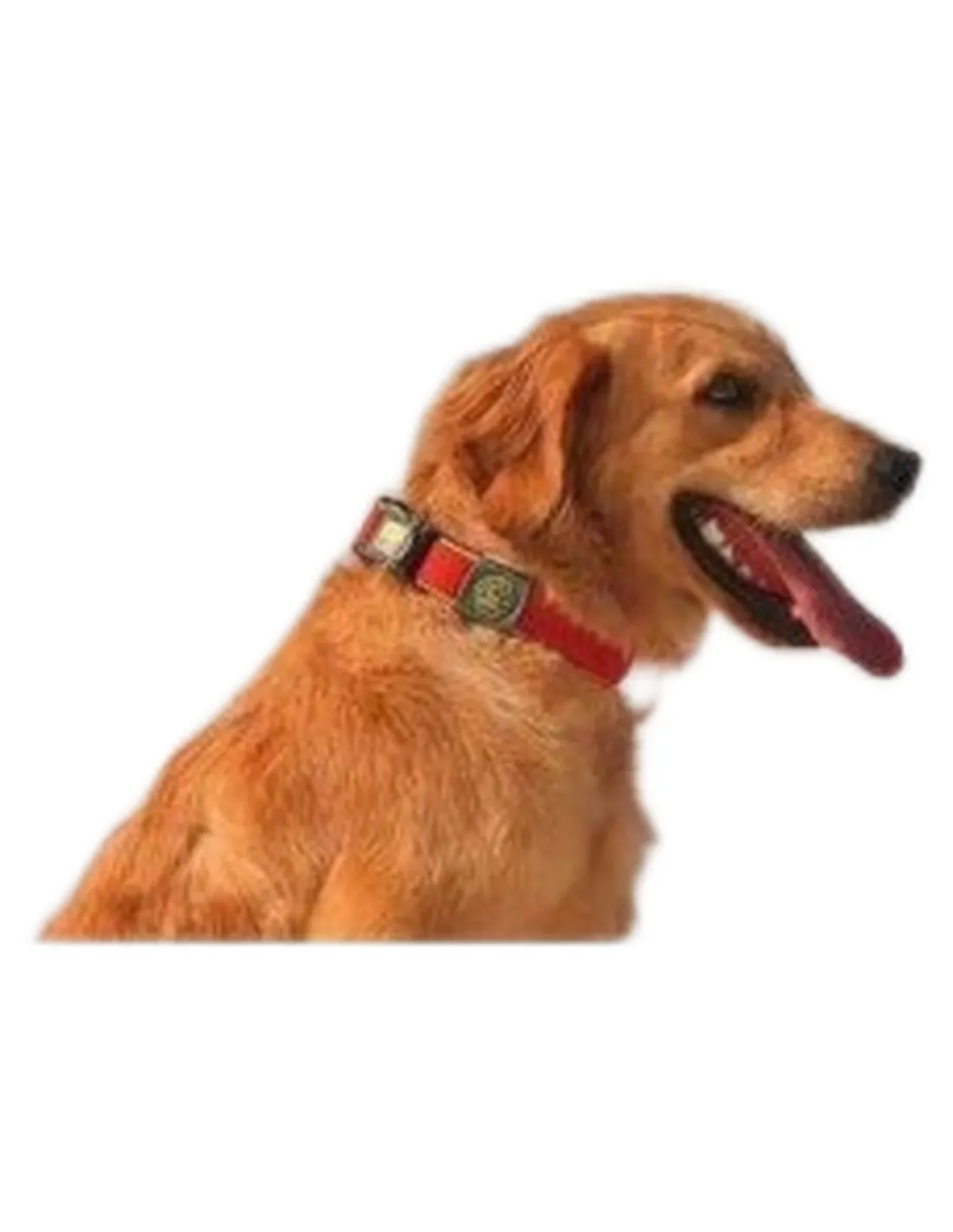 Hunter collare maui vario plus taglia medium rosso  