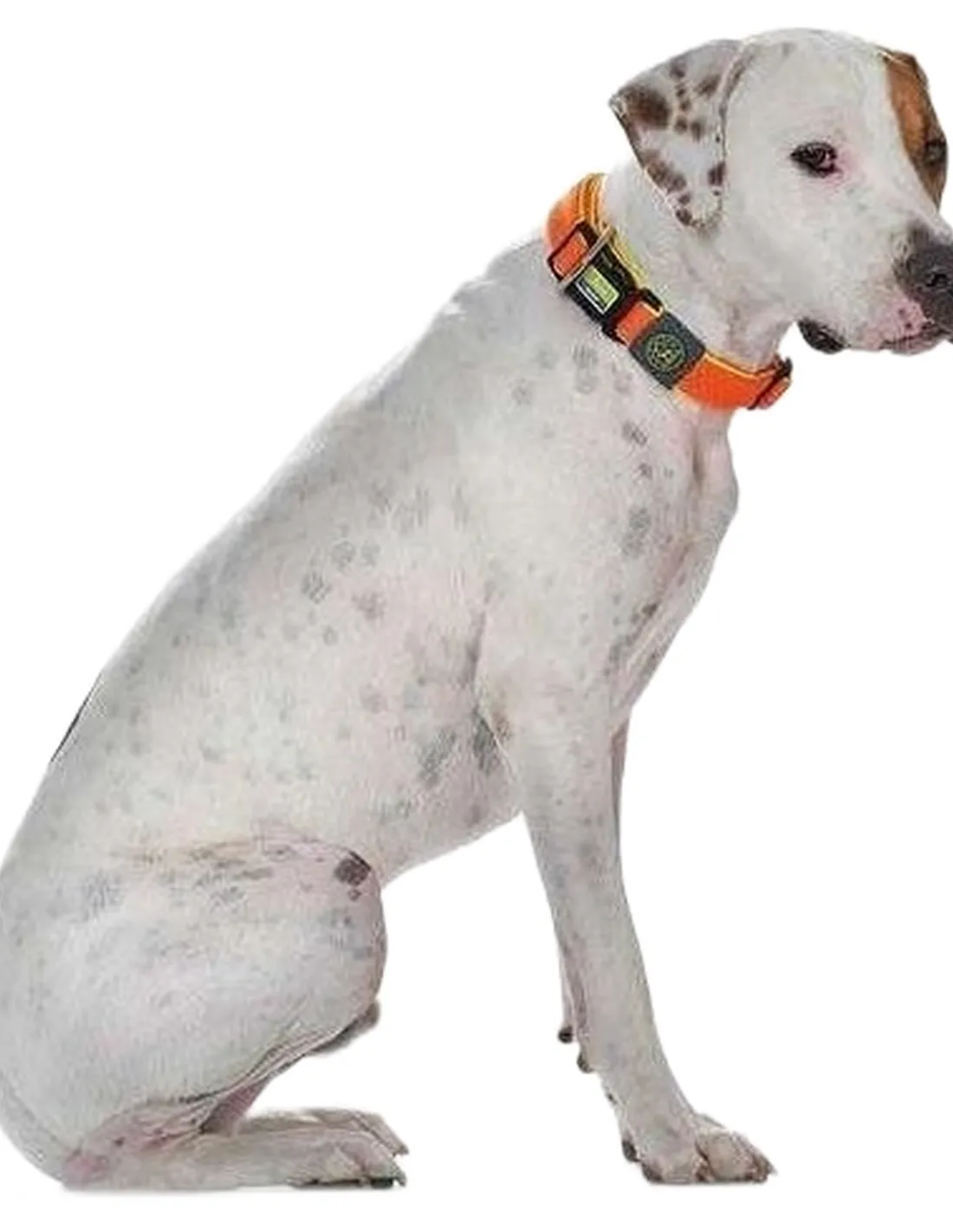 Hunter collare maui vario plus taglia extra large arancio   Hunter collare maui vario plus taglia extra large arancio