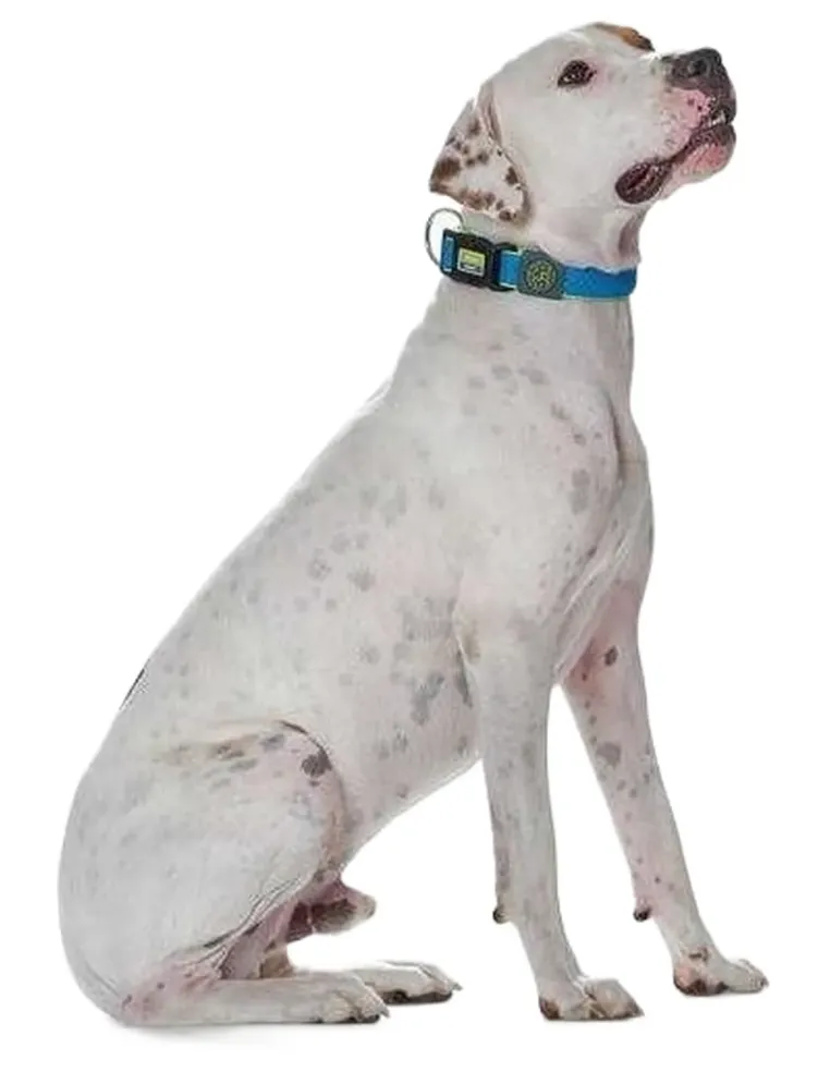 Hunter collare maui vario plus taglia extra large blu  