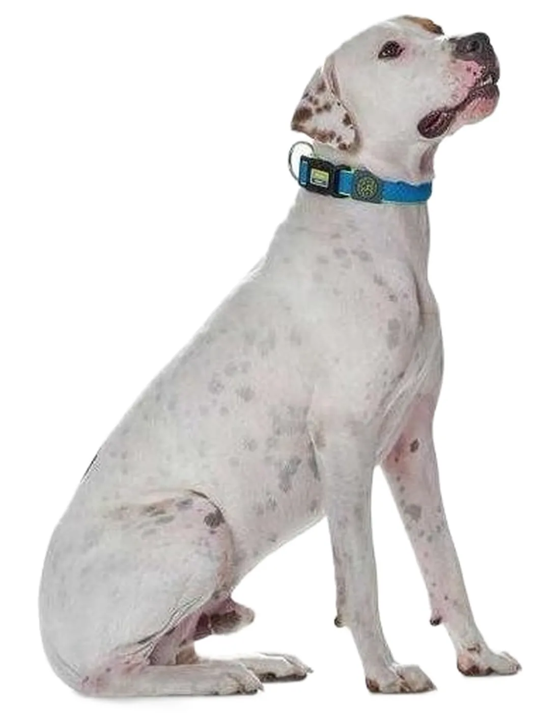 Hunter collare maui vario plus taglia extra large blu   Hunter collare maui vario plus taglia extra large blu