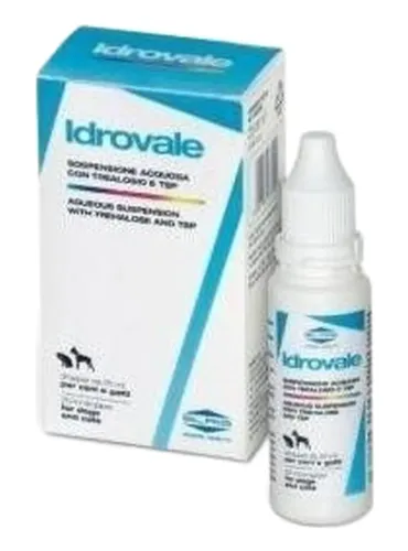 Slais idrovale 25 ml