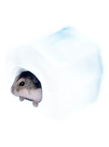 Ferplast ISBA 4638 casetta criceti