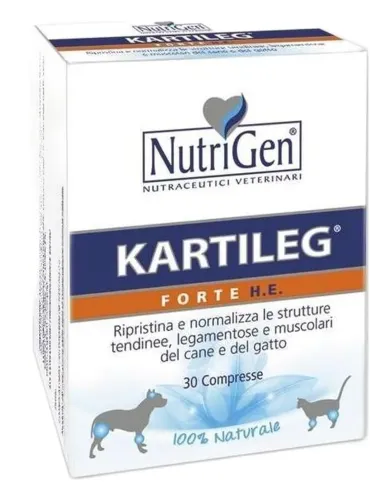 Nutrigen kartileg forte he 60 compresse 1000 mg  